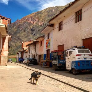 Dogs and Tuk Tuks in Pisac, Peru