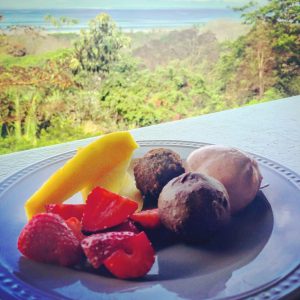 Costa Rica yogic diet foods