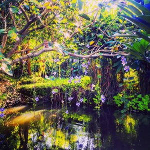 Nature Yoga Training in Bali
