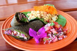 Costa Rica Meals Vegan Gluten Free Wrap