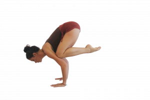 Kakasana - Crow Pose yoga technique