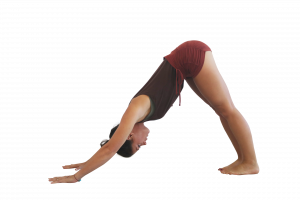 Adho Mukha Svanasana - Downward Facing Dog Pose yoga technique