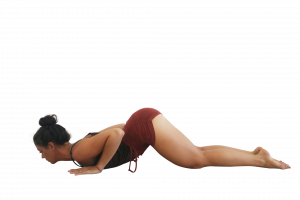 Ashtanga Namaskara - 8 Limb Pose Yoga Technique