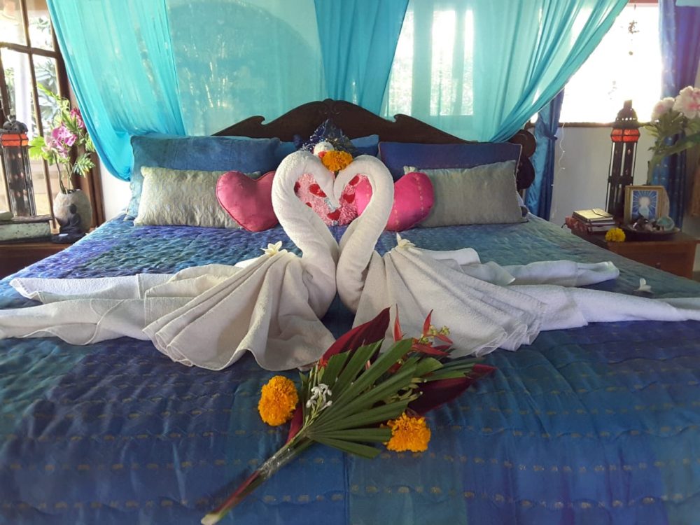 Bali | 300hr YTT | Shared Double Room | King Bed