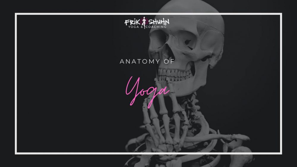 25hr Anatomy of Yoga