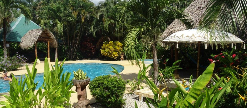 Indigo Yoga Resort Pool, Costa Rica Yoga Retreat Indigo Yoga Resort Pool, Costa Rica Yoga Retreat