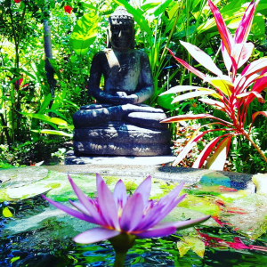 shambala bramahhousebuddhaingardenview
