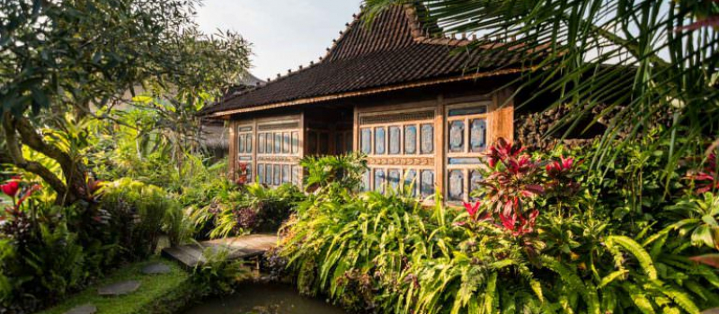 dragonfly-bali-blue-moon-quad-1