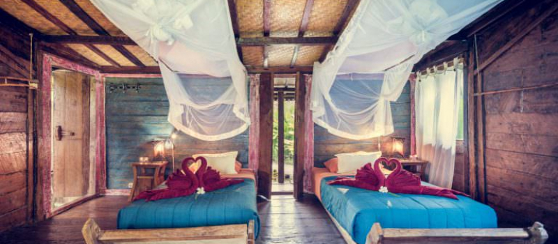 dragonfly-bali-twin